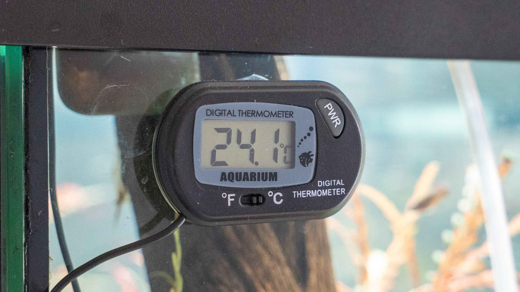 Digital Aquarium Thermometer - Simply Aquatic