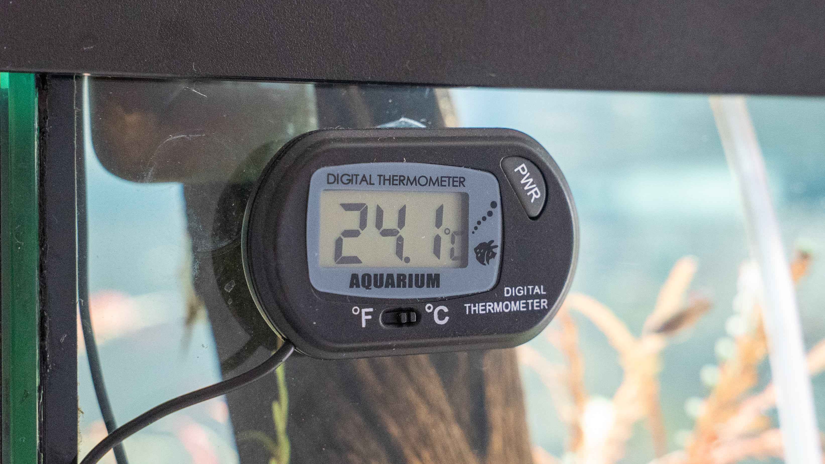 Digital Aquarium Thermometer - Simply Aquatic