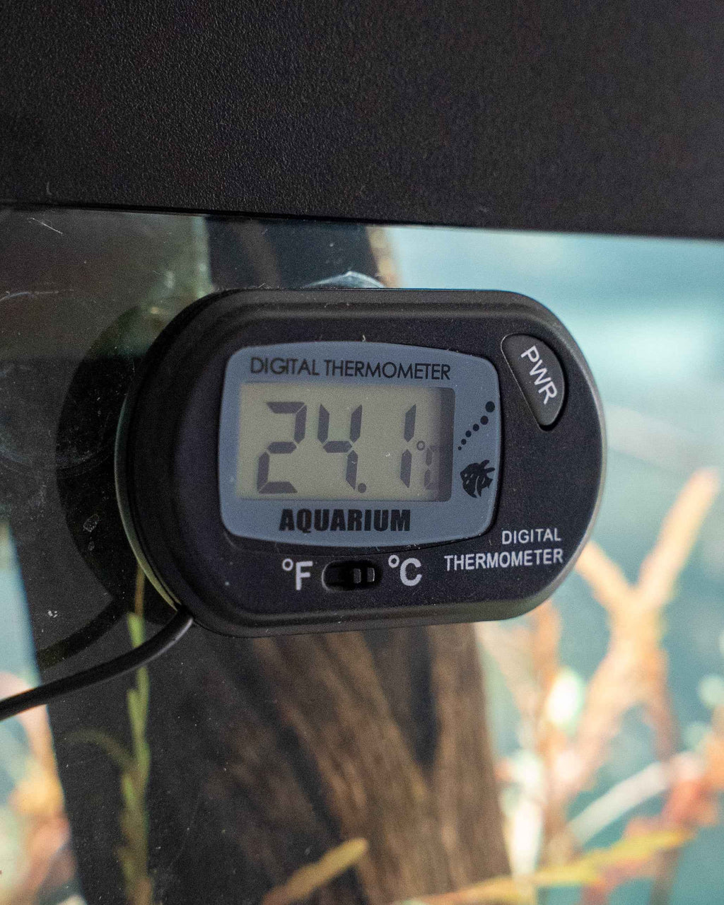 Digital Aquarium Thermometer - Simply Aquatic