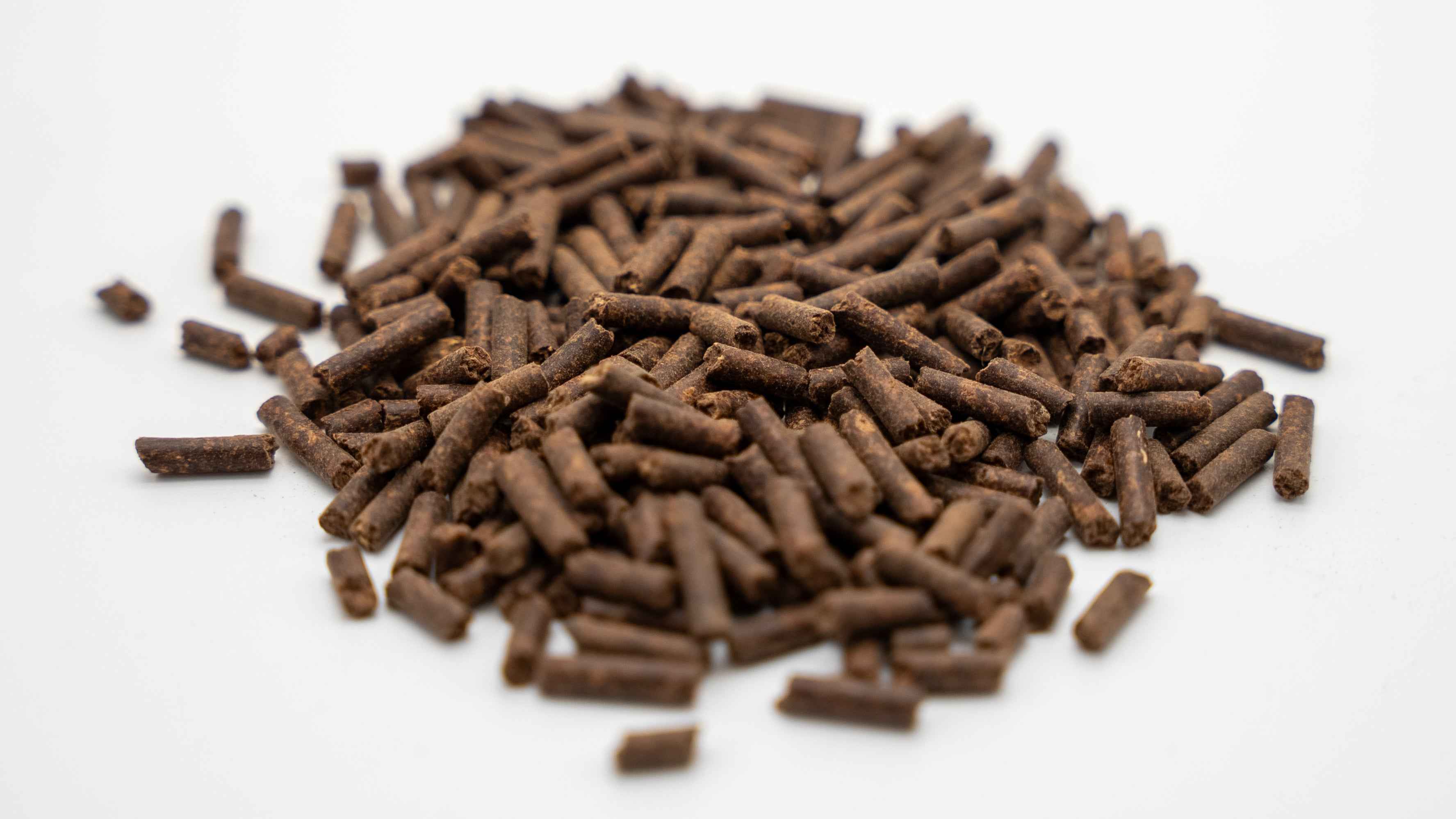 Taiwan Bitter Tea – Cycle Tea (Pack of 3) - Simply Aquatic