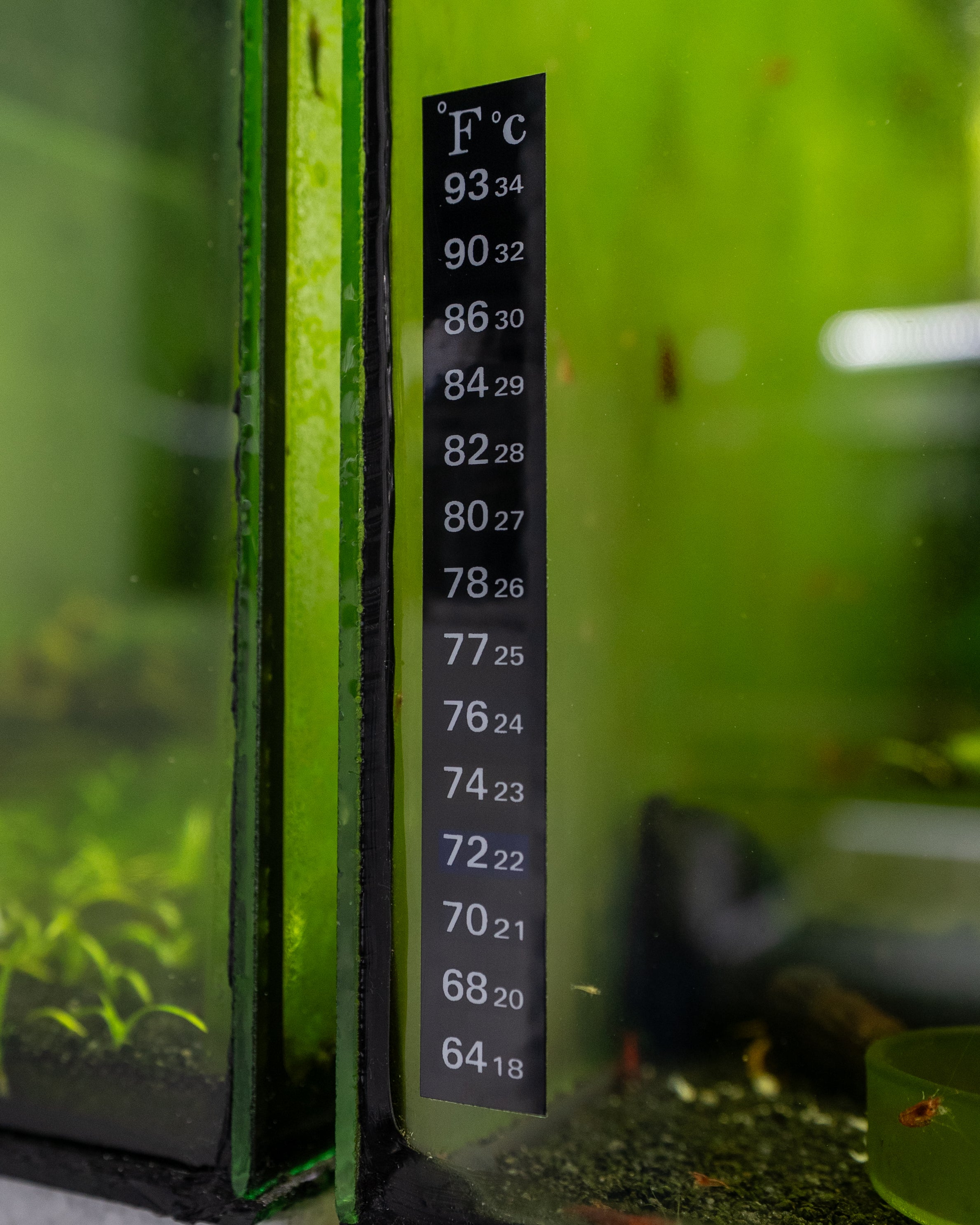 Adhesive Aquarium Thermometer Strips
