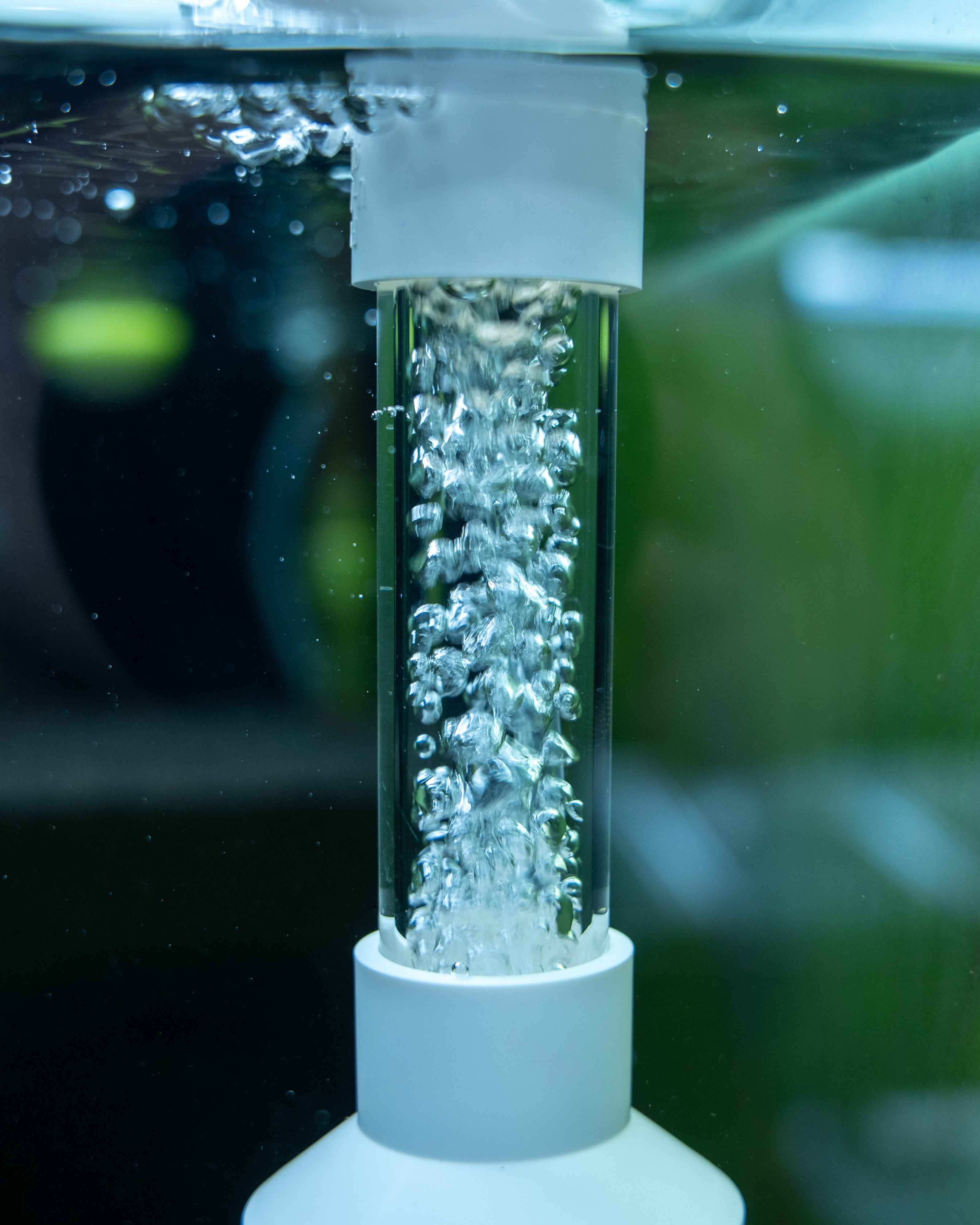 Fish Egg Tumbler Hatchery