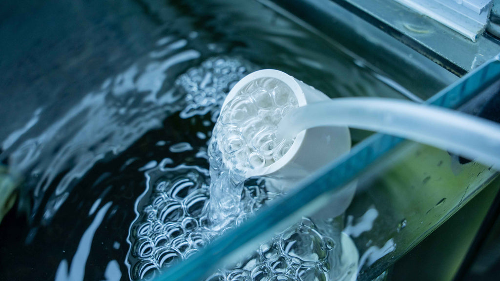 Fish Egg Tumbler Hatchery